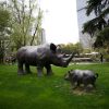 Rhino Statues for Sale