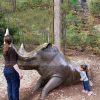 rhino statue
