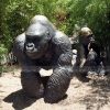 big gorilla statue