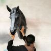 horse head bronze sculpture