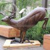 whitetail deer sculpture