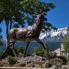 stag garden statue