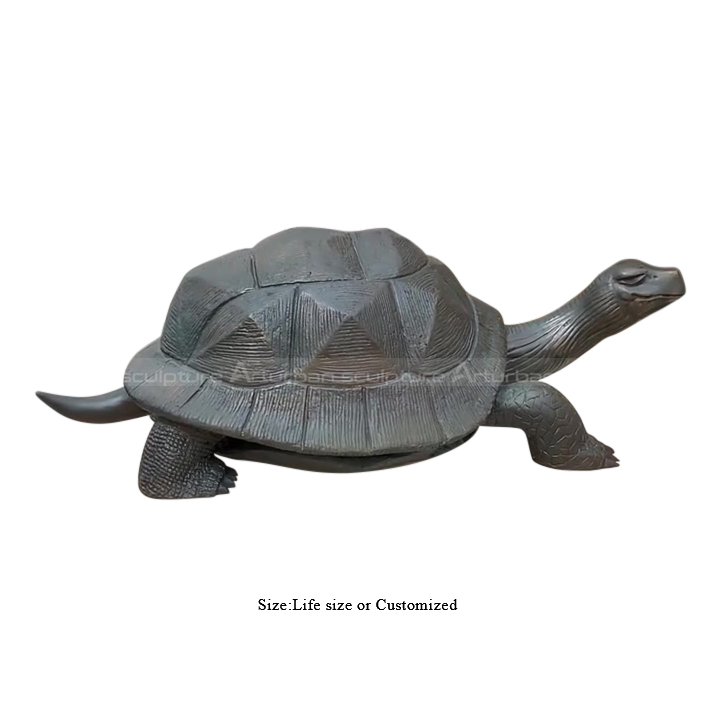 bronze turtle sculpture