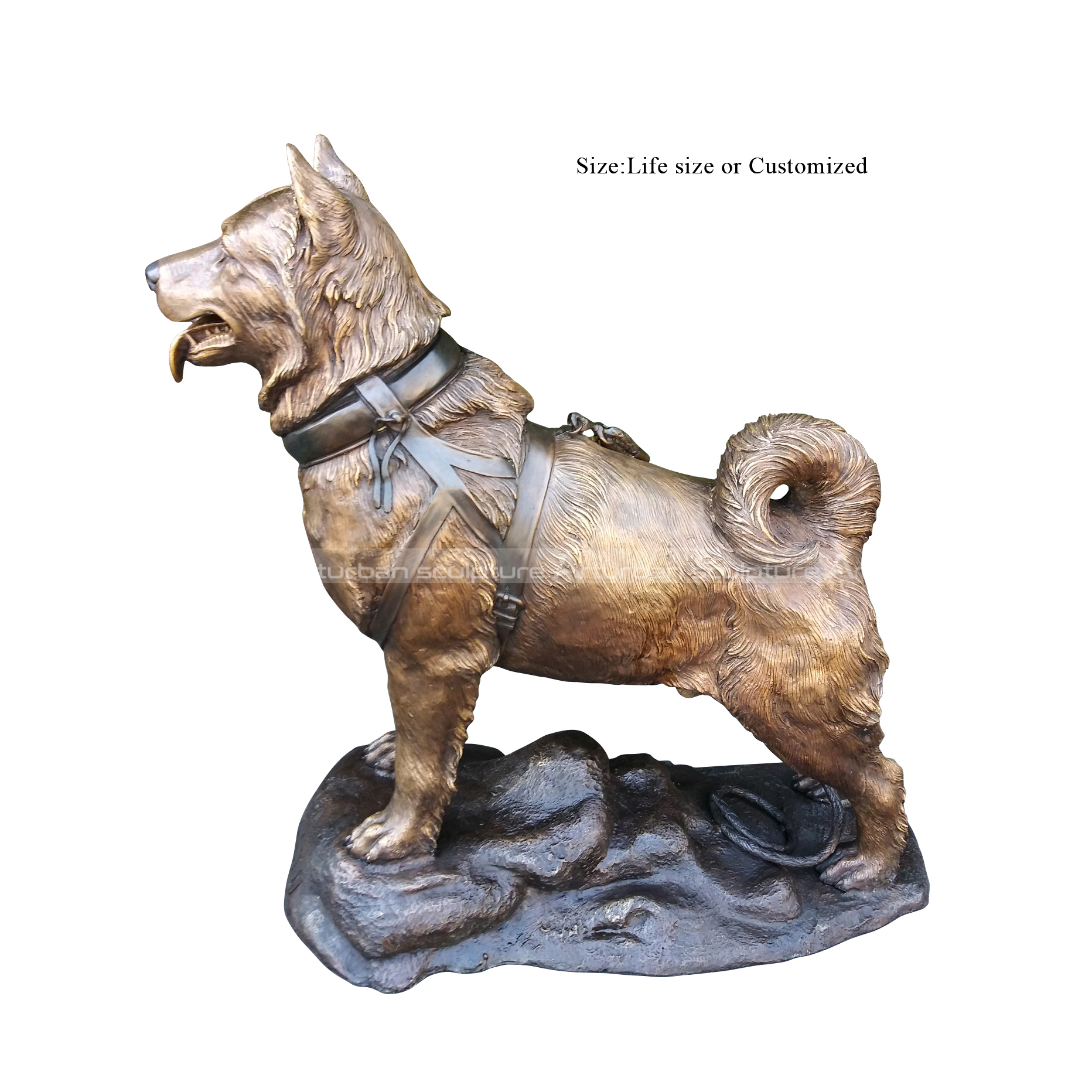 bronze dog statue