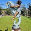 girl on a seahorse fountain