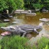 crocodile lawn ornament