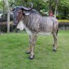 gnu sculpture