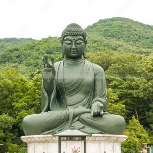 large sitting buddha statue