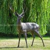 bronze deer statue life size