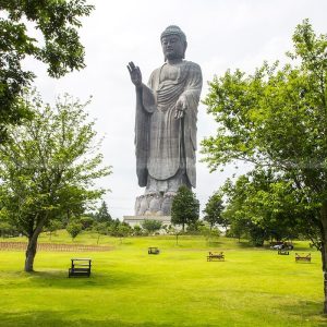 standing buddha statue for sale