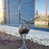 stag head bust