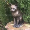 bronze cat sculpture