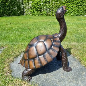 garden turtle sculpture