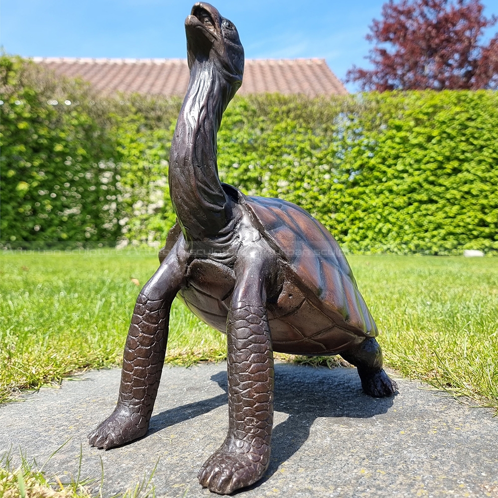 garden turtle sculpture