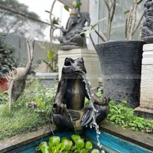 yoga frog fountain