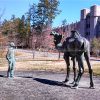 duke camel statue