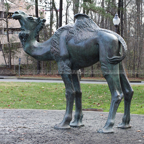 duke camel statue