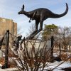 bronze kangaroo sculpture