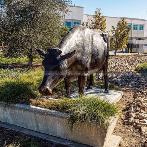 outdoor cow statues
