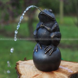 toad water feature