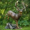 mule deer sculpture