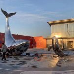 نحت حوت من الفولاذ المقاوم للصدأ