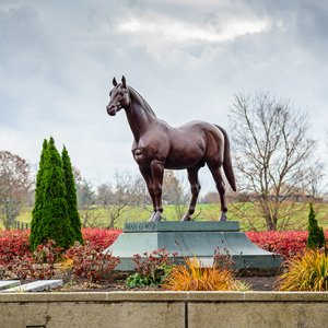 brass horse statue