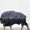 european bison statue