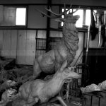 estátua de cervo em pé