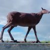 Bronze Doe Statue