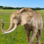 Statue d'éléphant réaliste