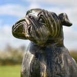 Estatua de Bulldog Inglés para Exteriores