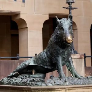 Bronze Wild Boar Sculpture Florence by Pietro Tacca, sitting in a realistic pose