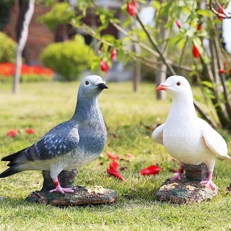 a grey homing Pigeon and a white dove Garden Ornaments