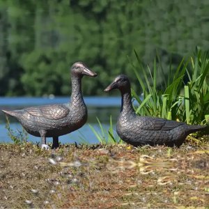 Two bronze wild ducks sculpture standing on the ground near wate