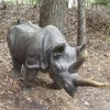 detailed bronze Rhino Yard Art sculpture