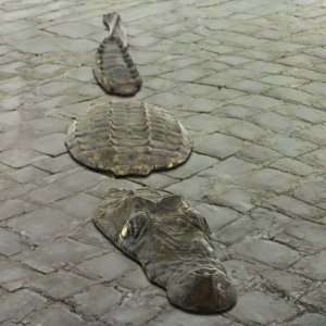 Bronze Crocodile Statue by Rip Caswell, segmented into head, back, and tail parts