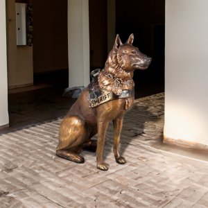 Bronze German Shepherd Memorial Statue wearing a sheriff ID strap