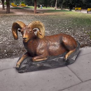 Bronze Ram Garden Statue featuring a lifelike resting bighorn sheep with large curled horns