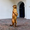Full view of a bronze Meerkat Lawn Ornament standing upright with curled tail