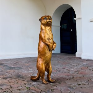 Full view of a bronze Meerkat Lawn Ornament standing upright with curled tail
