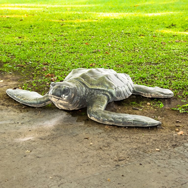 Sculpture extérieure réaliste de tortue marine en bronze