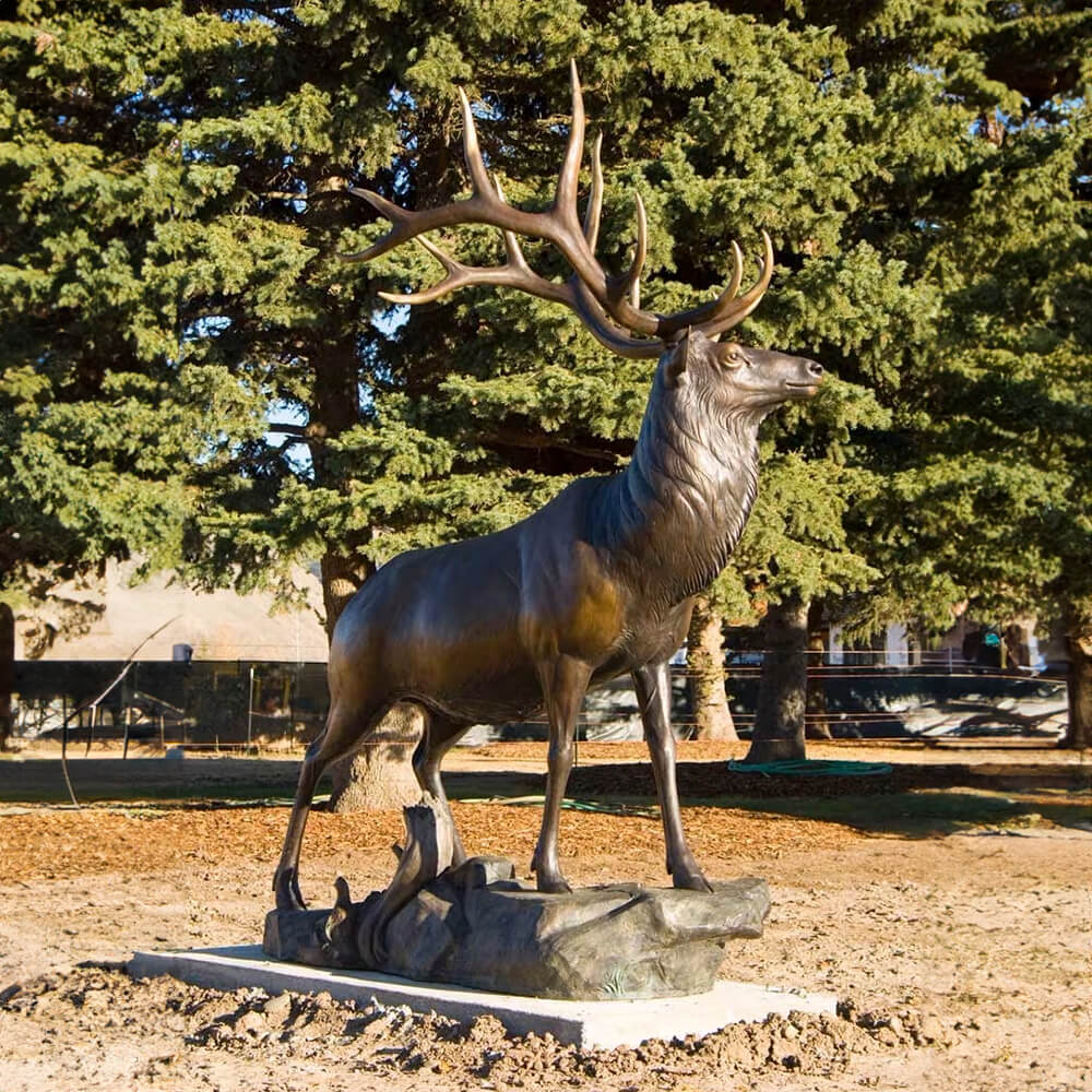 Majestic bronze Elk Statue for Sale capturing alert posture and wilderness beauty