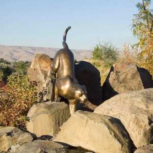 Mountain Lion Statue for Sale placed among natural rocks