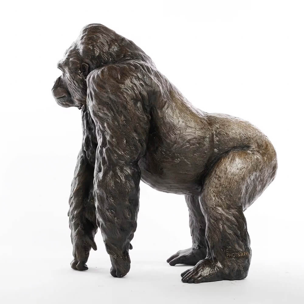 Outdoor Gorilla bronze Statue showing a silverback western lowland gorilla