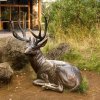 bronze Garden Stag Sculpture depicting a mule deer with branching antlers
