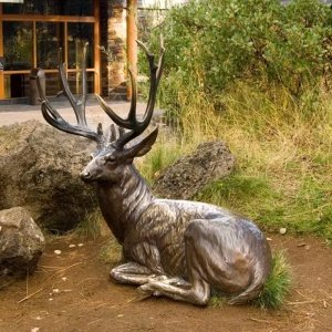bronze Garden Stag Sculpture depicting a mule deer with branching antlers