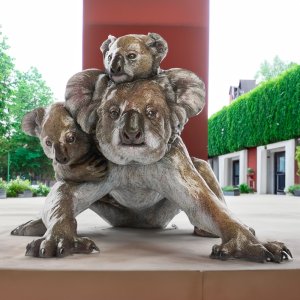 bronze Koala Garden Statue showing a baby koala clinging to the mother’s back while another rests on her side