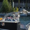 mirror-finished stainless steel T Rex Skeleton Statue with detailed ribcage and skull