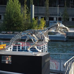 mirror-finished stainless steel T Rex Skeleton Statue with detailed ribcage and skull